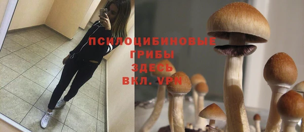 jwh Аркадак