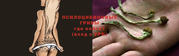 ПСИЛОЦИБИНОВЫЕ ГРИБЫ Армянск