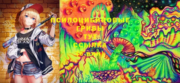 ПСИЛОЦИБИНОВЫЕ ГРИБЫ Армянск